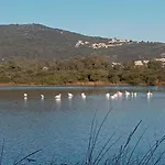 Casabellavista בודוני