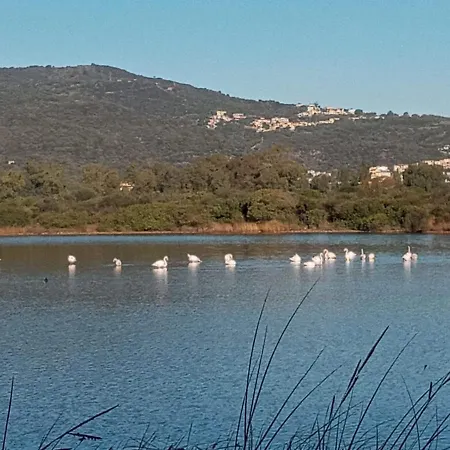 Casabellavista Budoni
